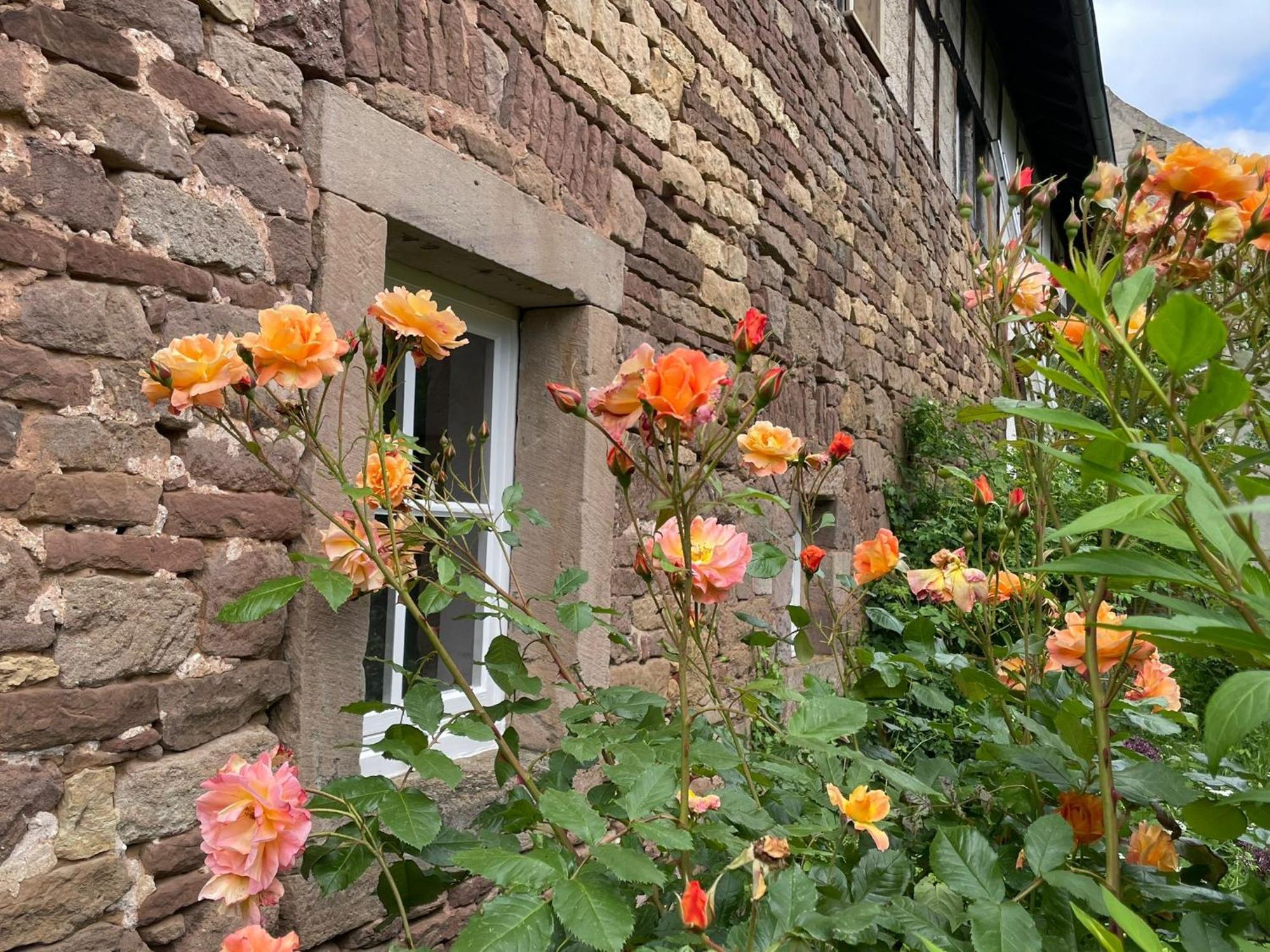 Cherrytree Cottage 1840 하임바흐 외부 사진